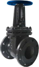 30ч6нж DN 50 PN 10, чугун СЧ 20