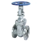 30с41нж 30s41nzh DN 50 PN 16